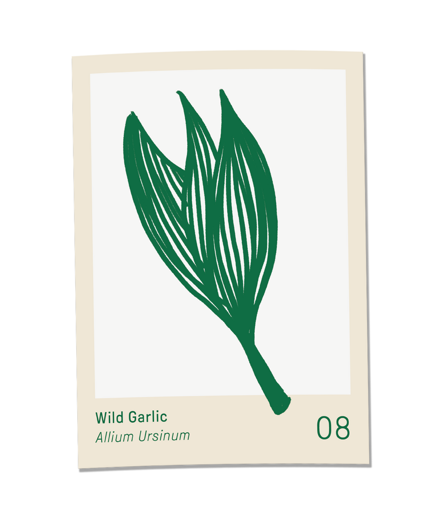 Wild Garlic